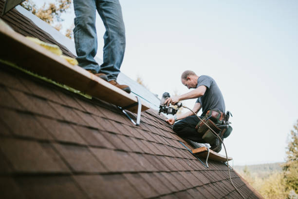 Quick and Trustworthy Emergency Roof Repair Services in Blair, NE